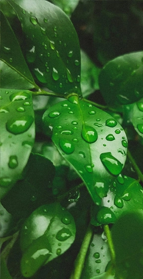 Treemec | HVAC Systems, Heating, Cooling & Ventilation Solutions