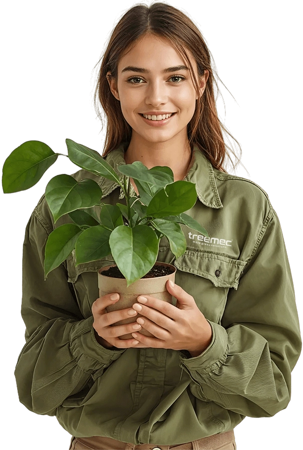 Treemec | HVAC Systems, Heating, Cooling & Ventilation Solutions