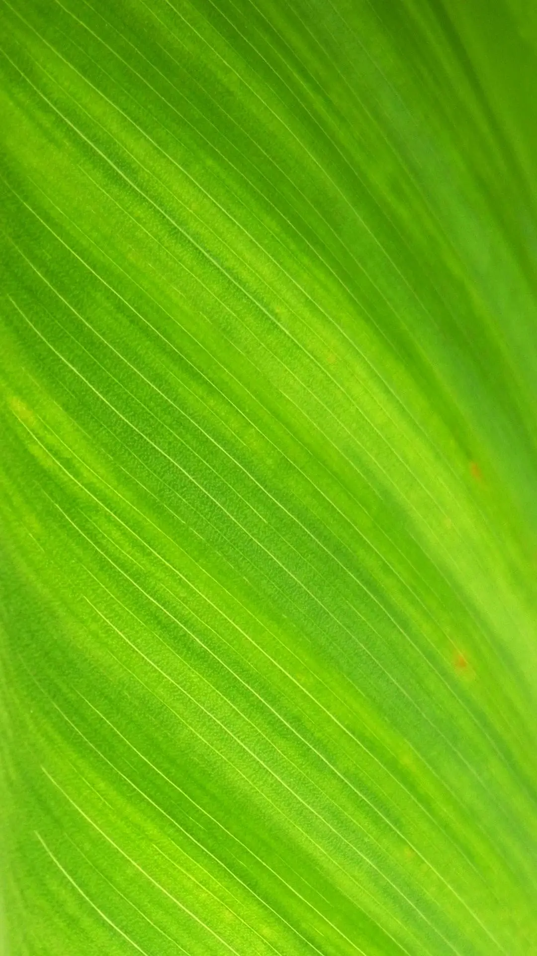 Treemec | HVAC Systems, Heating, Cooling & Ventilation Solutions